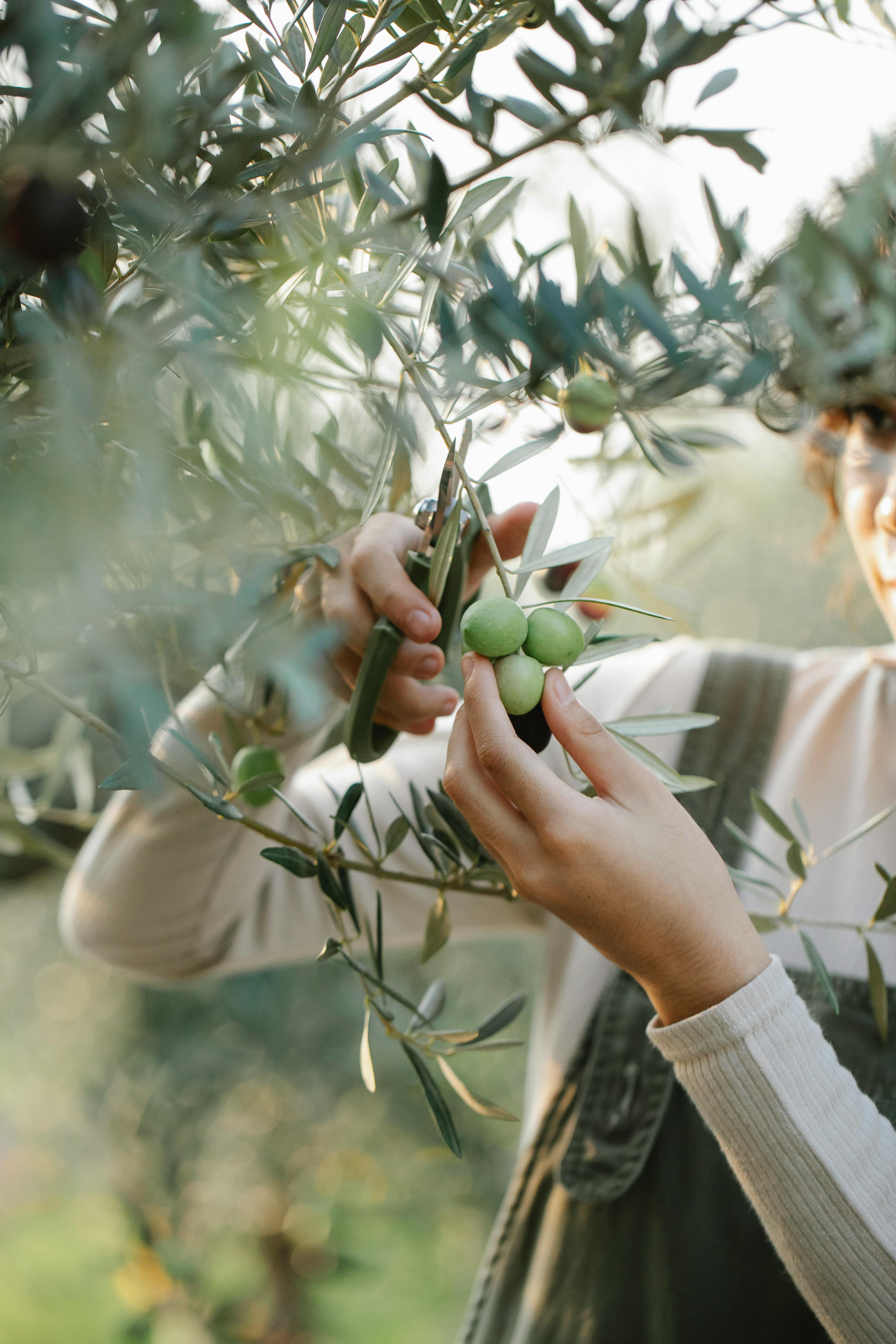 Best 5 Ways to Cook Broccoli in an Air Fryer for 2025